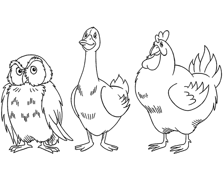 Dibujo para colorear: Gallo (Animales) #4183 - Dibujos para Colorear e Imprimir Gratis