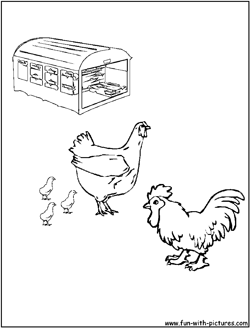 Dibujo para colorear: Gallo (Animales) #4186 - Dibujos para Colorear e Imprimir Gratis