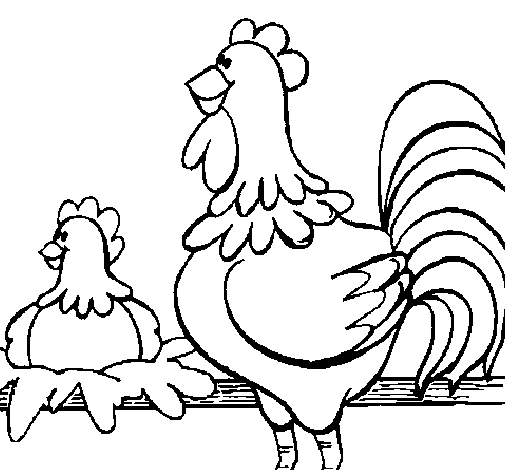Dibujo para colorear: Gallo (Animales) #4201 - Dibujos para Colorear e Imprimir Gratis