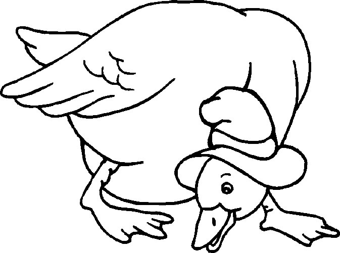 Dibujo para colorear: Ganso (Animales) #11689 - Dibujos para Colorear e Imprimir Gratis