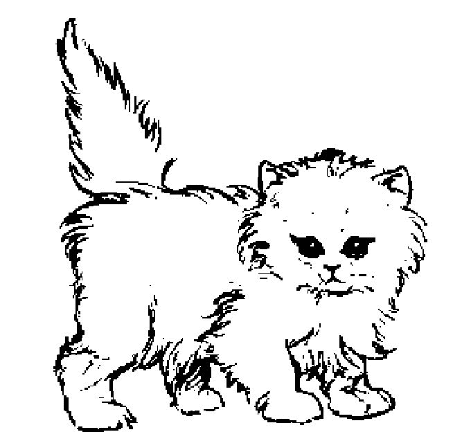 Dibujo para colorear: Gato (Animales) #1770 - Dibujos para Colorear e Imprimir Gratis