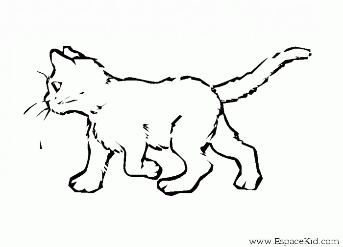 Dibujo para colorear: Gato (Animales) #1812 - Dibujos para Colorear e Imprimir Gratis