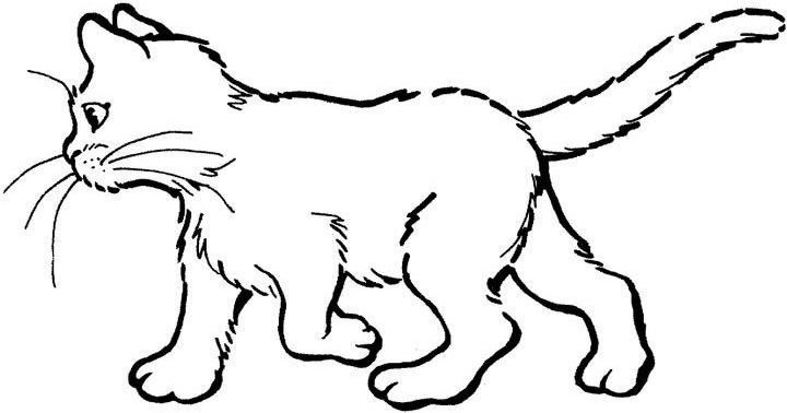 Dibujo para colorear: Gato (Animales) #1822 - Dibujos para Colorear e Imprimir Gratis