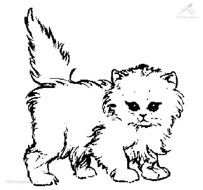 Dibujo para colorear: Gato (Animales) #1832 - Dibujos para Colorear e Imprimir Gratis