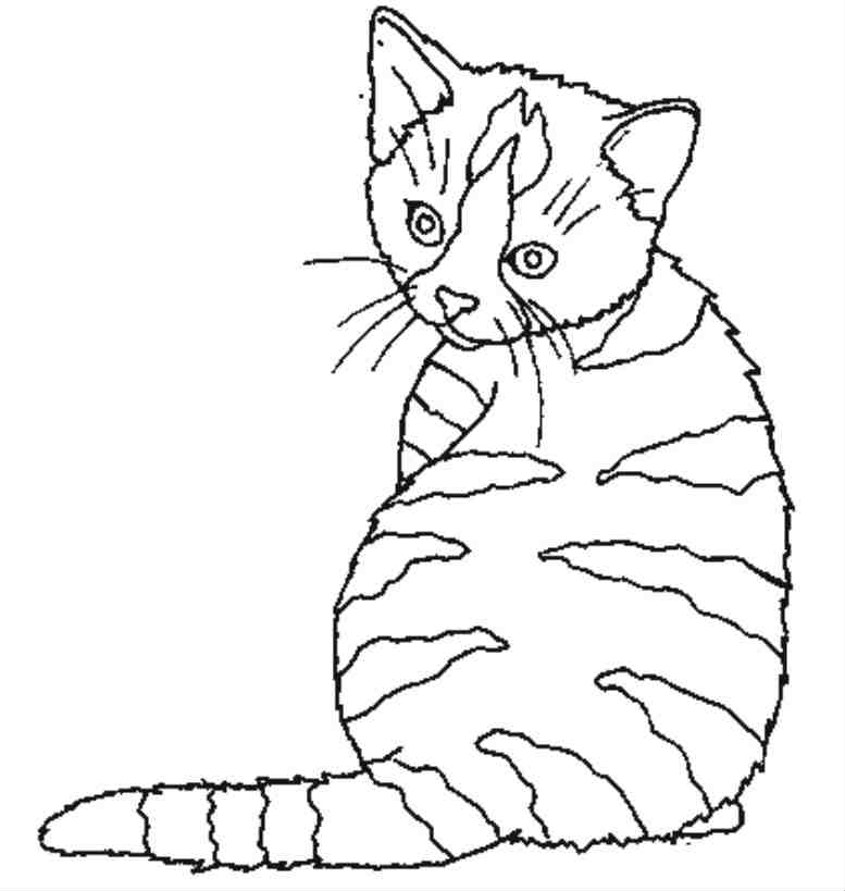 Dibujo para colorear: Gato (Animales) #1843 - Dibujos para Colorear e Imprimir Gratis