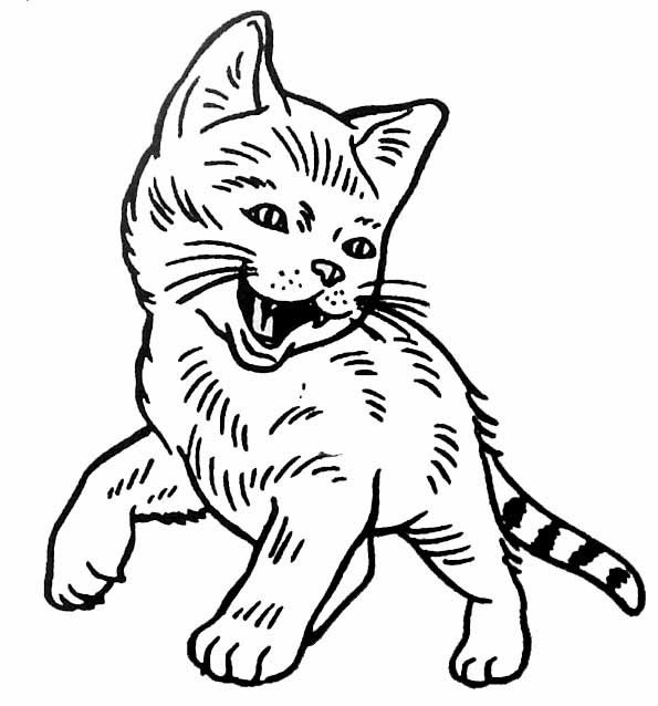 Dibujo para colorear: Gato (Animales) #1904 - Dibujos para Colorear e Imprimir Gratis