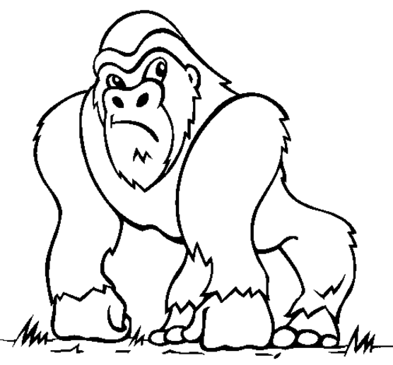 Dibujo para colorear: Gorila (Animales) #7420 - Dibujos para Colorear e Imprimir Gratis
