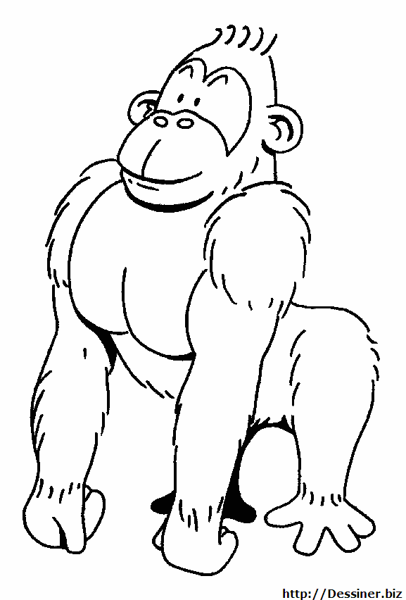 Dibujo para colorear: Gorila (Animales) #7422 - Dibujos para Colorear e Imprimir Gratis