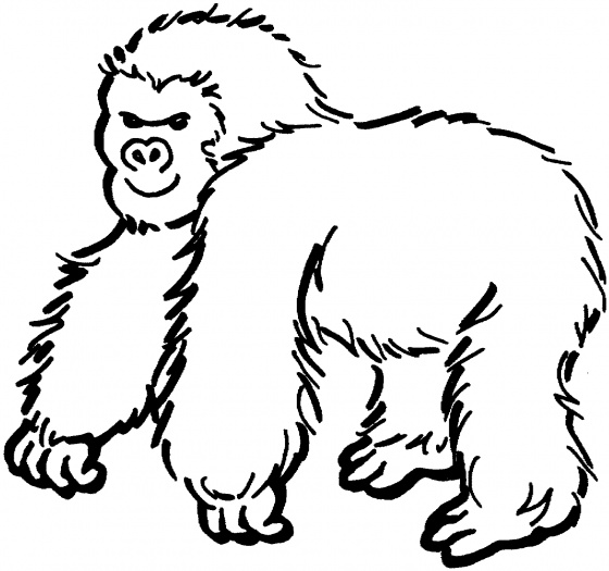 Dibujo para colorear: Gorila (Animales) #7426 - Dibujos para Colorear e Imprimir Gratis