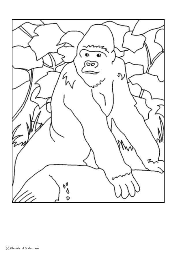 Dibujo para colorear: Gorila (Animales) #7451 - Dibujos para Colorear e Imprimir Gratis