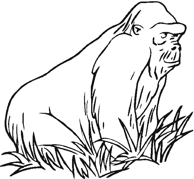 Dibujo para colorear: Gorila (Animales) #7459 - Dibujos para Colorear e Imprimir Gratis