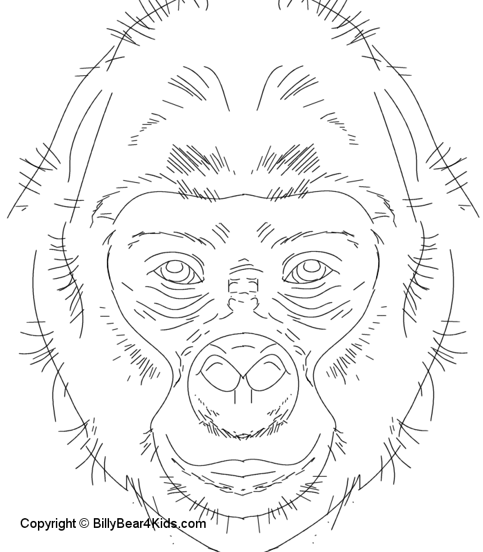 Dibujo para colorear: Gorila (Animales) #7463 - Dibujos para Colorear e Imprimir Gratis