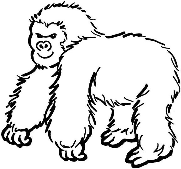 Dibujo para colorear: Gorila (Animales) #7475 - Dibujos para Colorear e Imprimir Gratis