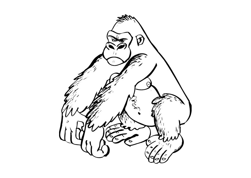 Dibujo para colorear: Gorila (Animales) #7481 - Dibujos para Colorear e Imprimir Gratis