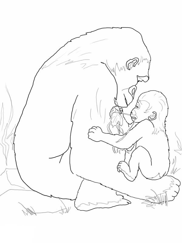 Dibujo para colorear: Gorila (Animales) #7490 - Dibujos para Colorear e Imprimir Gratis