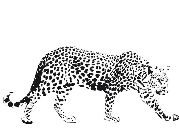 Dibujo para colorear: Guepardo (Animales) #7901 - Dibujos para Colorear e Imprimir Gratis