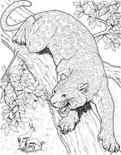 Dibujo para colorear: Guepardo (Animales) #7919 - Dibujos para Colorear e Imprimir Gratis