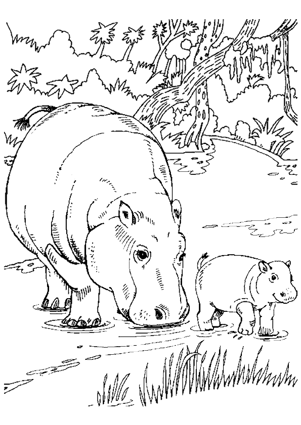 Dibujo para colorear: Hipopótamo (Animales) #8611 - Dibujos para Colorear e Imprimir Gratis