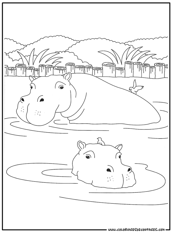 Dibujo para colorear: Hipopótamo (Animales) #8633 - Dibujos para Colorear e Imprimir Gratis