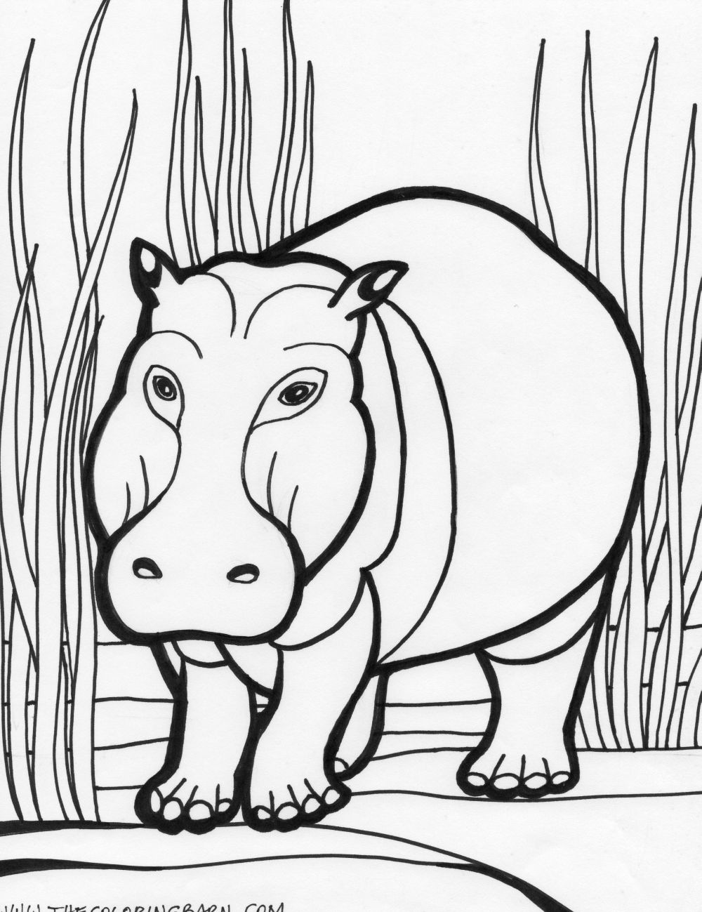 Dibujo para colorear: Hipopótamo (Animales) #8643 - Dibujos para Colorear e Imprimir Gratis