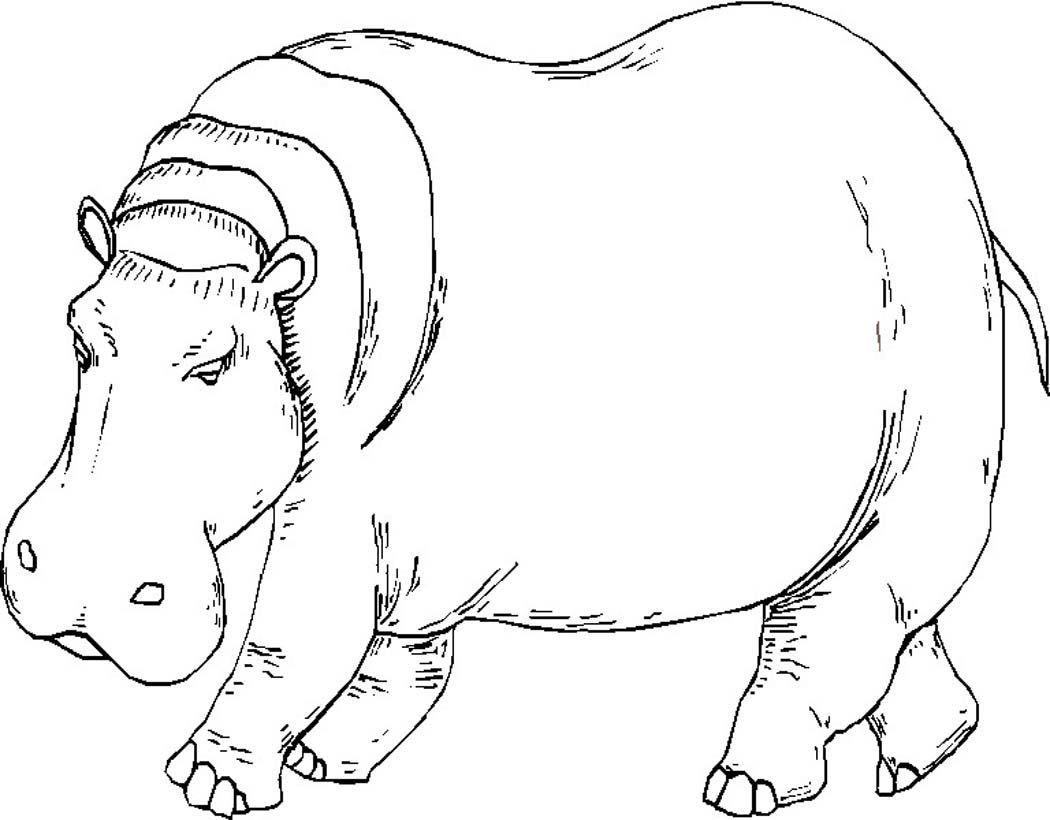Dibujo para colorear: Hipopótamo (Animales) #8665 - Dibujos para Colorear e Imprimir Gratis