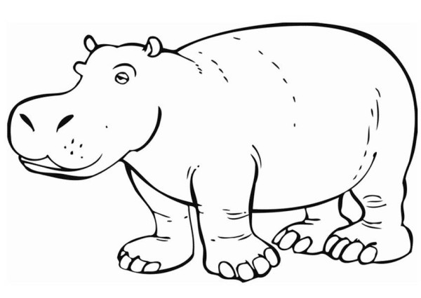 Dibujo para colorear: Hipopótamo (Animales) #8669 - Dibujos para Colorear e Imprimir Gratis