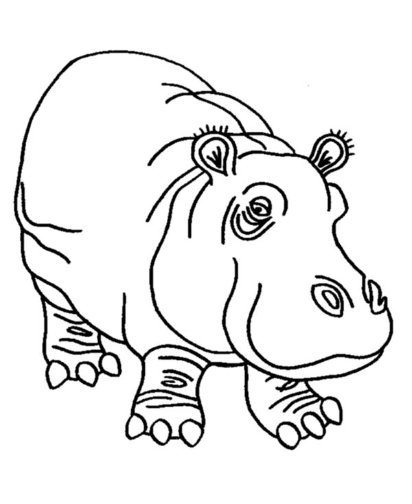 Dibujo para colorear: Hipopótamo (Animales) #8726 - Dibujos para Colorear e Imprimir Gratis