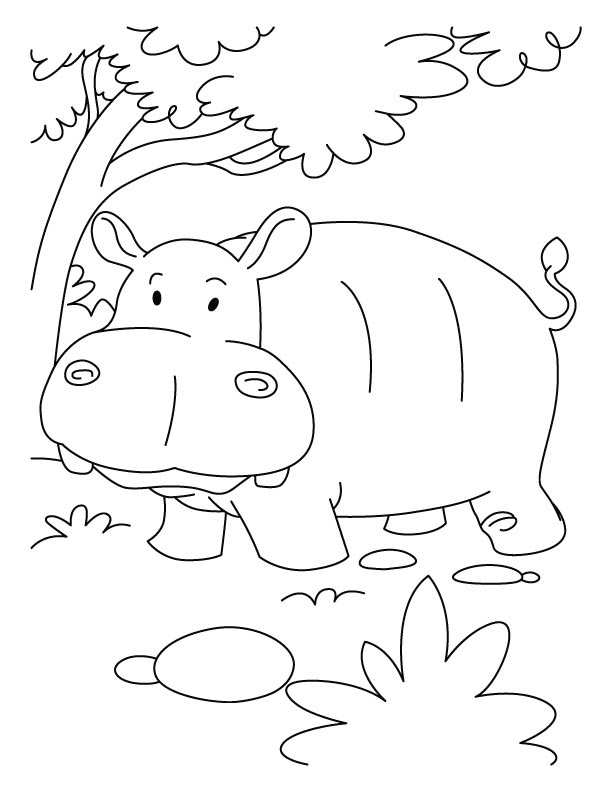 Dibujo para colorear: Hipopótamo (Animales) #8738 - Dibujos para Colorear e Imprimir Gratis