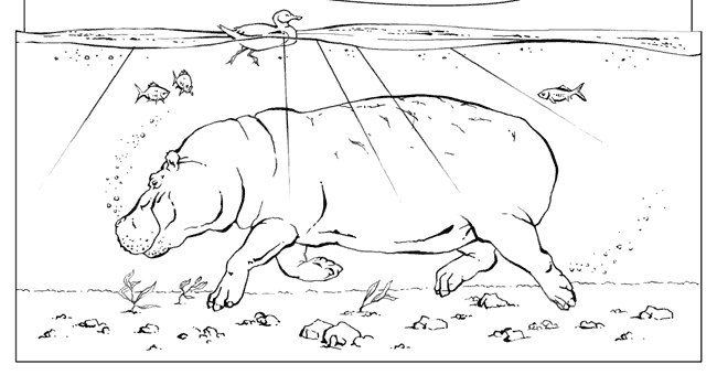 Dibujo para colorear: Hipopótamo (Animales) #8766 - Dibujos para Colorear e Imprimir Gratis