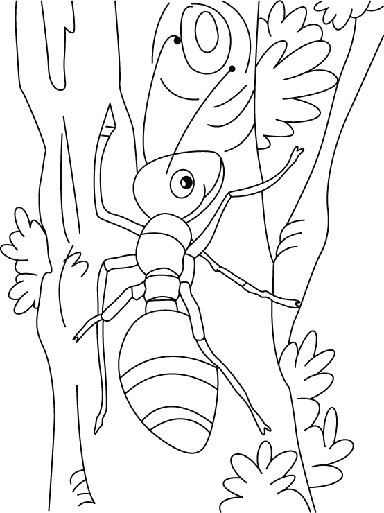 Dibujo para colorear: Hormiga (Animales) #6957 - Dibujos para Colorear e Imprimir Gratis