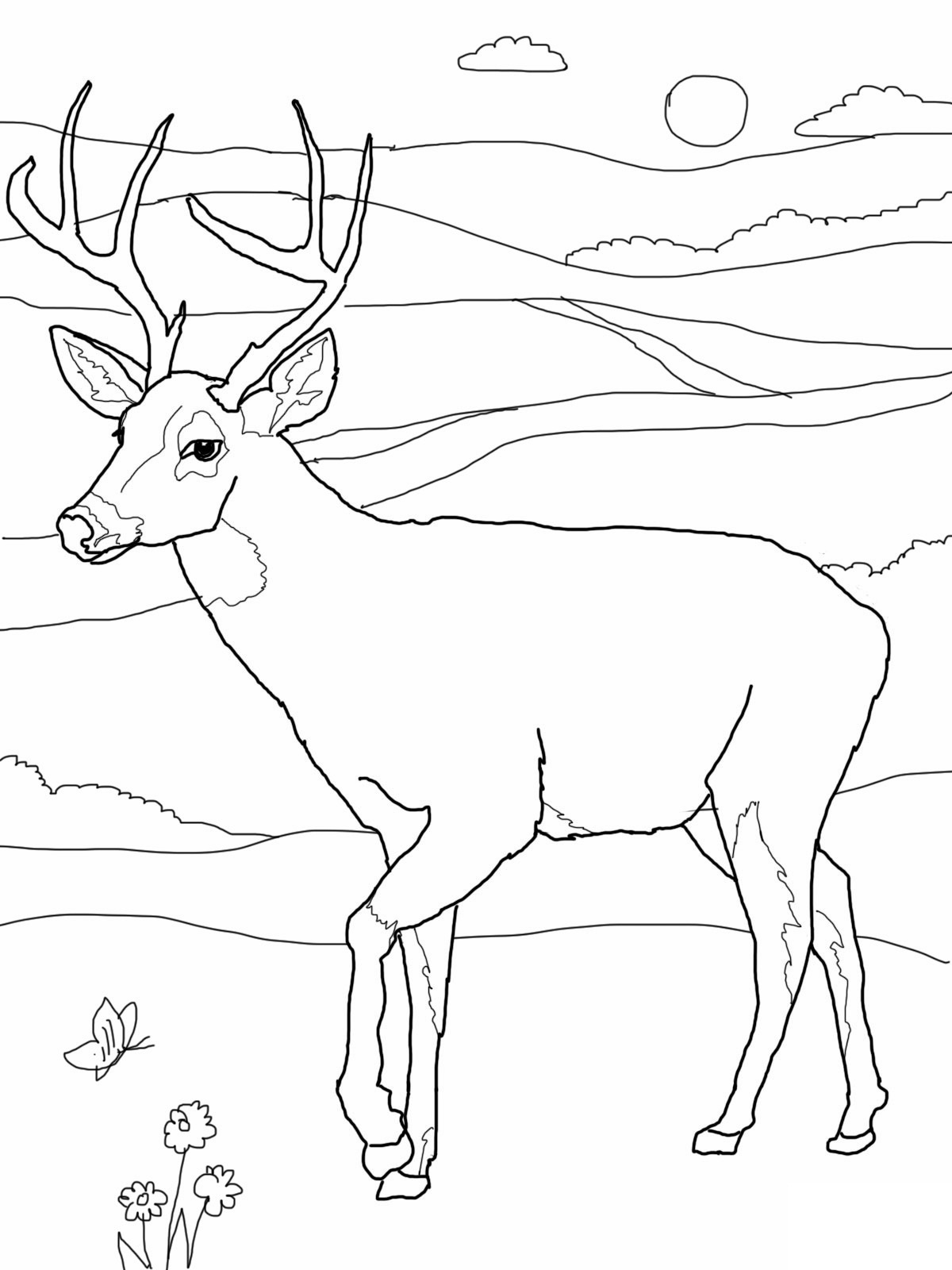 Dibujo para colorear: Hueva (Animales) #2568 - Dibujos para Colorear e Imprimir Gratis
