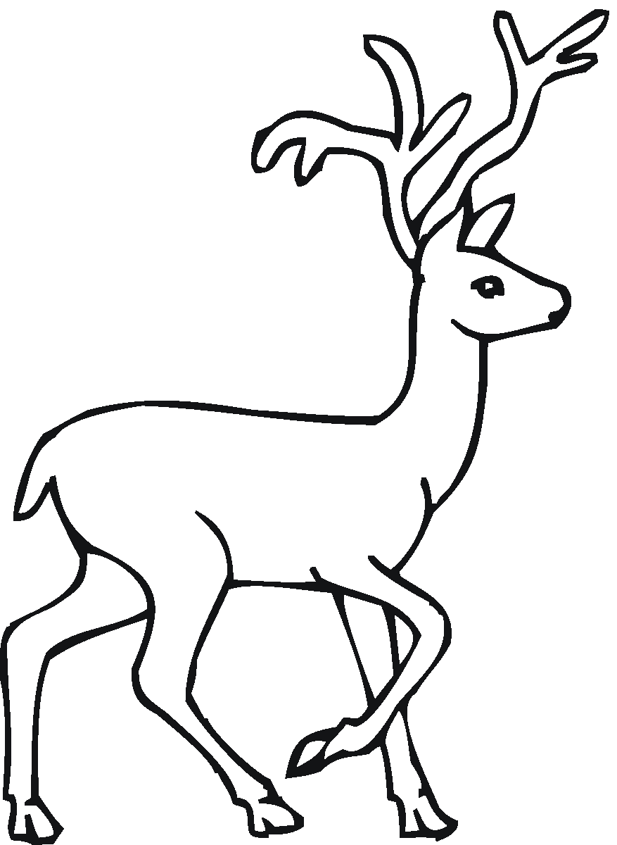 Dibujo para colorear: Hueva (Animales) #2578 - Dibujos para Colorear e Imprimir Gratis