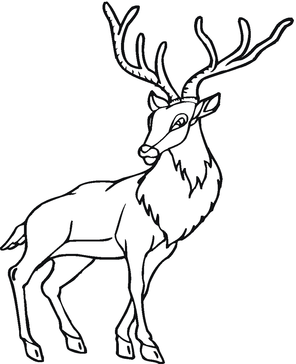 Dibujo para colorear: Hueva (Animales) #2587 - Dibujos para Colorear e Imprimir Gratis