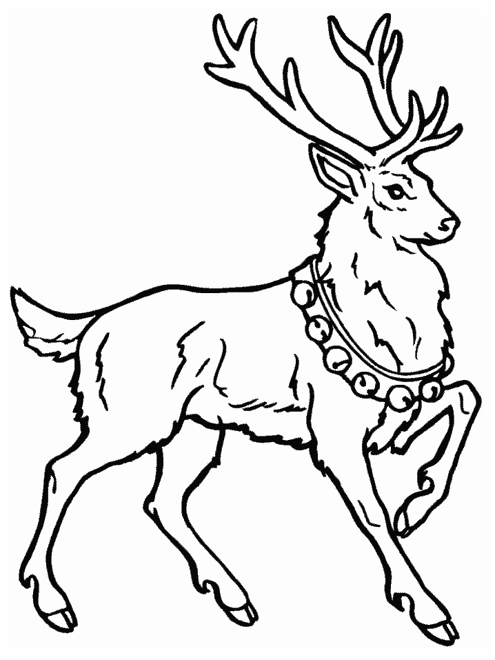 Dibujo para colorear: Hueva (Animales) #2597 - Dibujos para Colorear e Imprimir Gratis