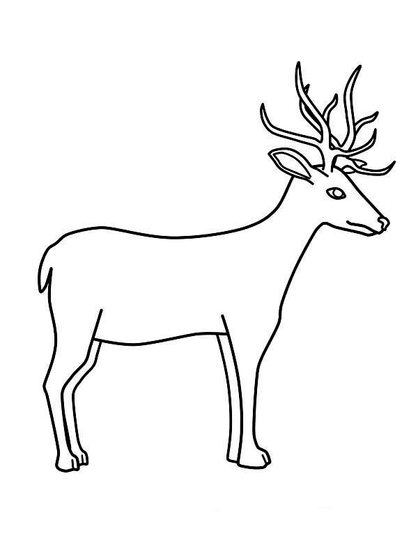 Dibujo para colorear: Hueva (Animales) #2609 - Dibujos para Colorear e Imprimir Gratis