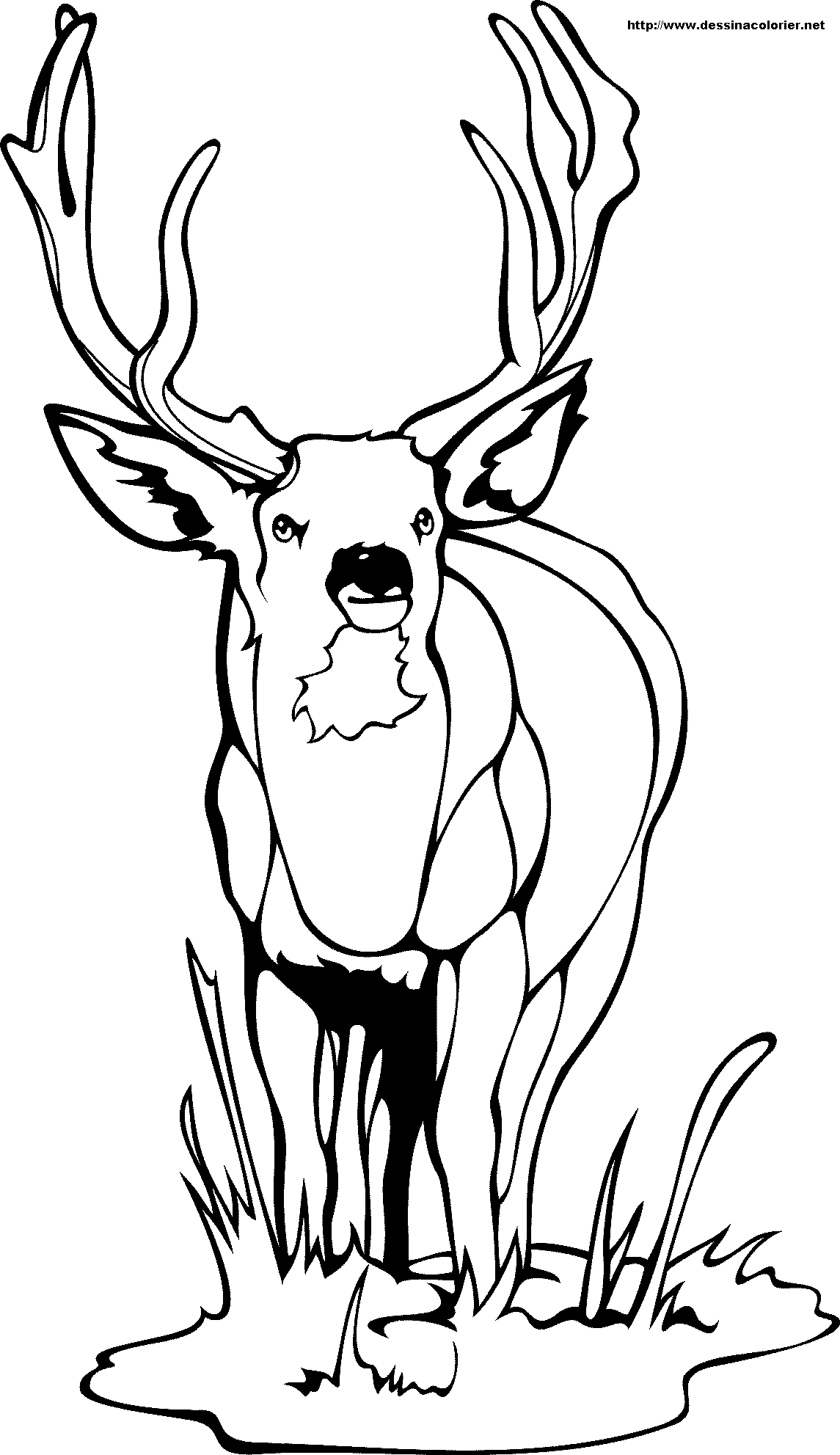 Dibujo para colorear: Hueva (Animales) #2610 - Dibujos para Colorear e Imprimir Gratis
