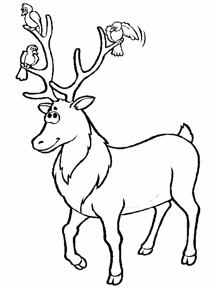 Dibujo para colorear: Hueva (Animales) #2622 - Dibujos para Colorear e Imprimir Gratis