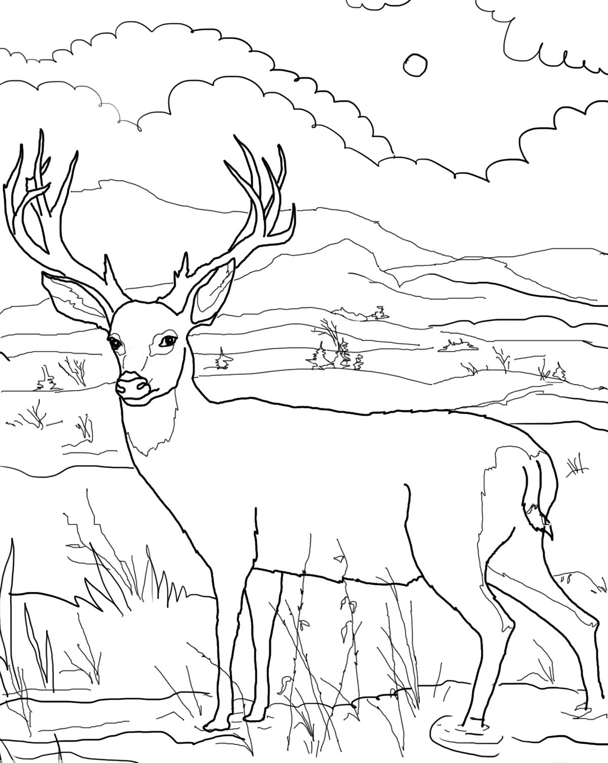 Dibujo para colorear: Hueva (Animales) #2629 - Dibujos para Colorear e Imprimir Gratis