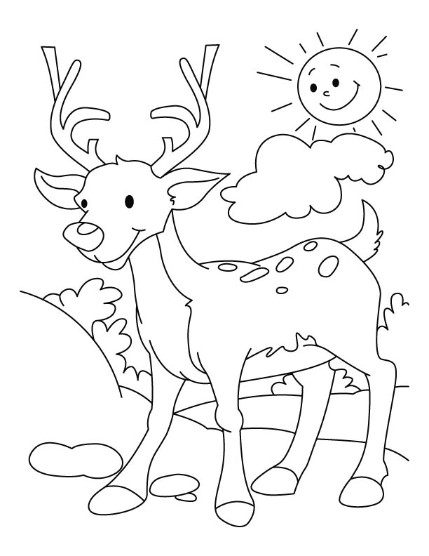 Dibujo para colorear: Hueva (Animales) #2651 - Dibujos para Colorear e Imprimir Gratis