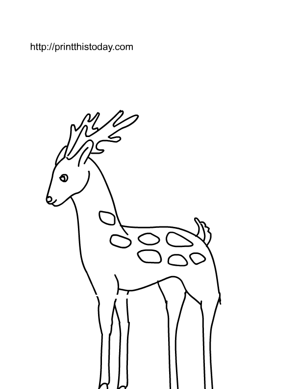 Dibujo para colorear: Hueva (Animales) #2672 - Dibujos para Colorear e Imprimir Gratis