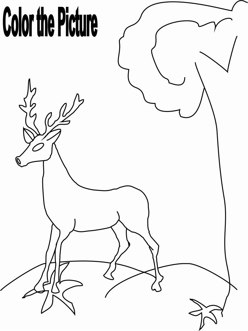 Dibujo para colorear: Hueva (Animales) #2725 - Dibujos para Colorear e Imprimir Gratis
