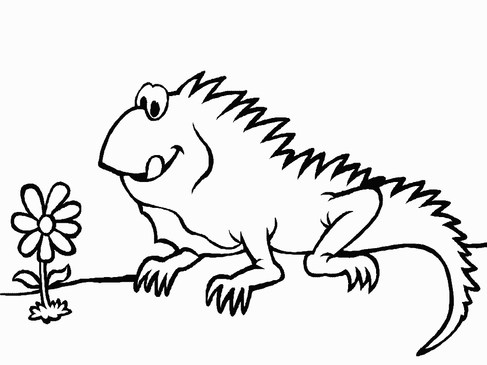 Dibujo para colorear: Iguana (Animales) #8911 - Dibujos para Colorear e Imprimir Gratis
