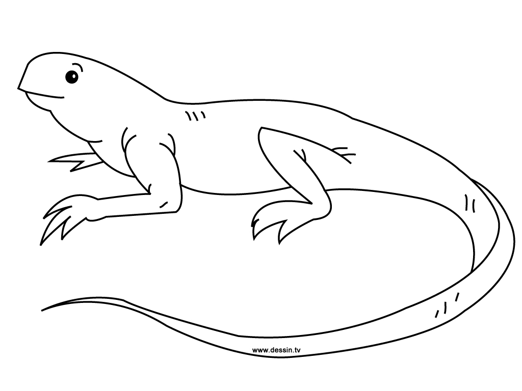 Dibujo para colorear: Iguana (Animales) #8917 - Dibujos para Colorear e Imprimir Gratis
