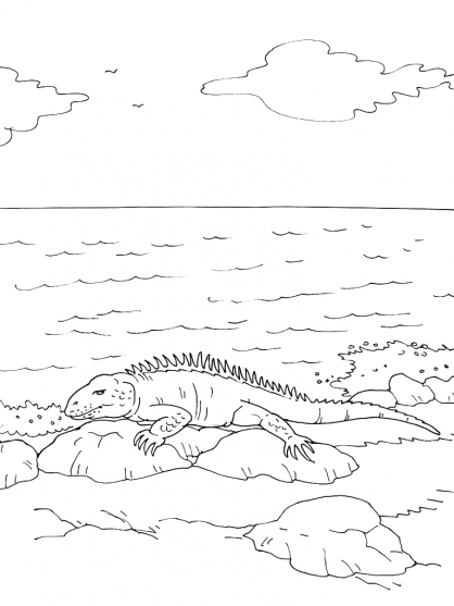 Dibujo para colorear: Iguana (Animales) #8949 - Dibujos para Colorear e Imprimir Gratis