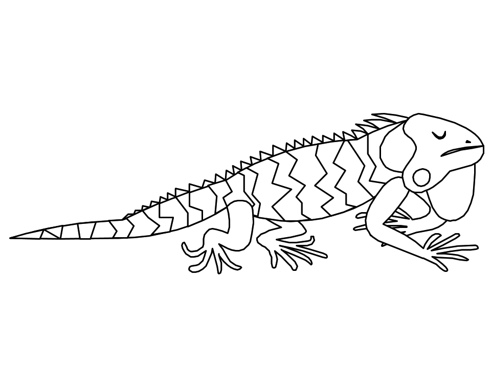 Dibujo para colorear: Iguana (Animales) #8950 - Dibujos para Colorear e Imprimir Gratis
