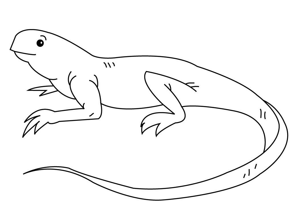Dibujo para colorear: Iguana (Animales) #8951 - Dibujos para Colorear e Imprimir Gratis