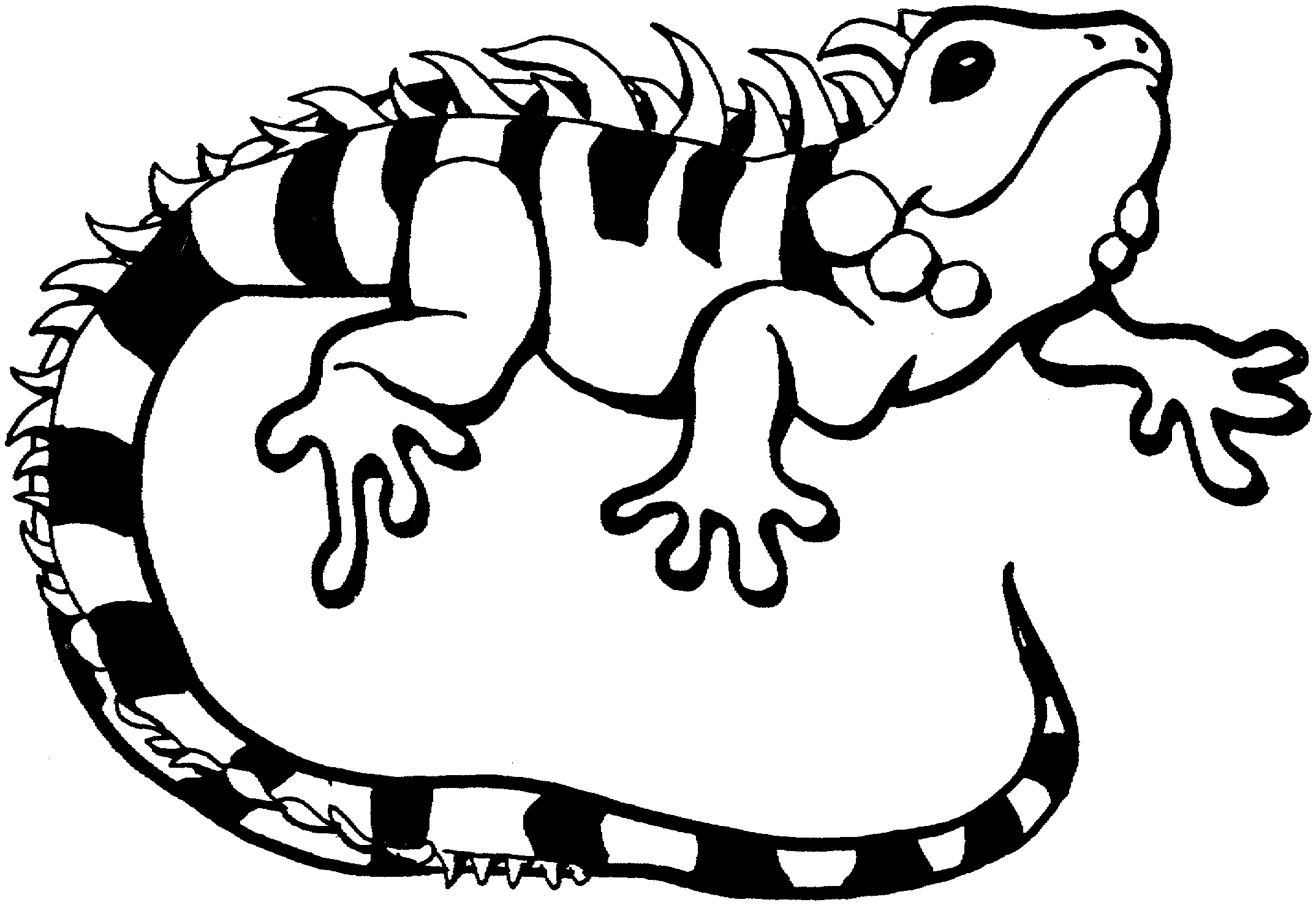 Dibujo para colorear: Iguana (Animales) #8959 - Dibujos para Colorear e Imprimir Gratis