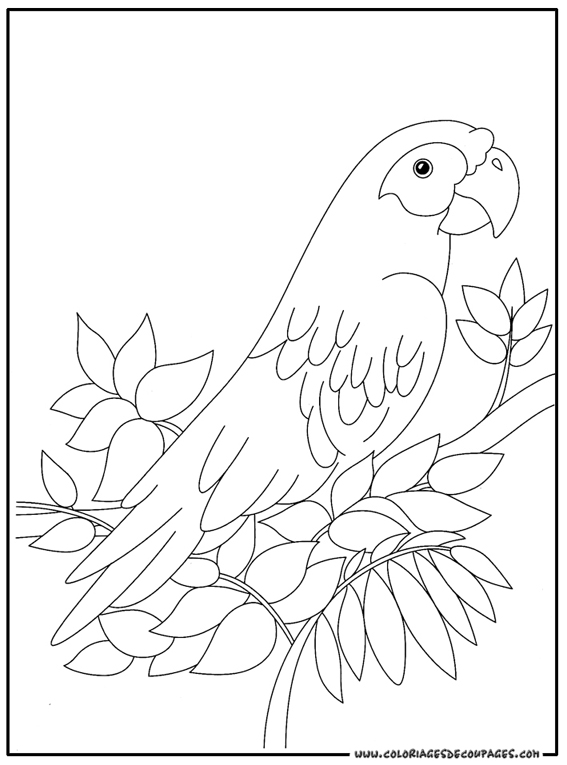 Dibujo para colorear: Ioro (Animales) #16078 - Dibujos para Colorear e Imprimir Gratis