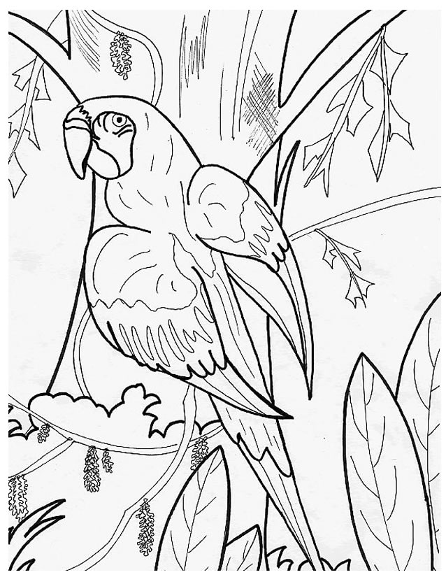 Dibujo para colorear: Ioro (Animales) #16104 - Dibujos para Colorear e Imprimir Gratis