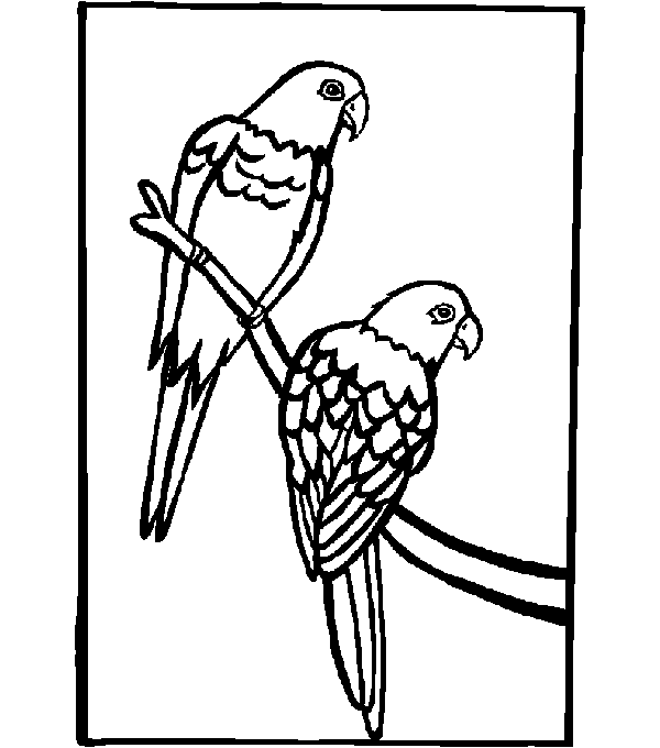 Dibujo para colorear: Ioro (Animales) #16212 - Dibujos para Colorear e Imprimir Gratis